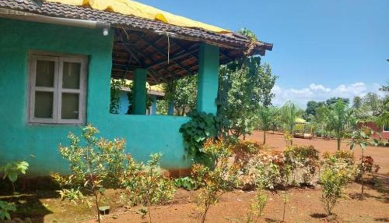Camera standard - Maati Nature Resort