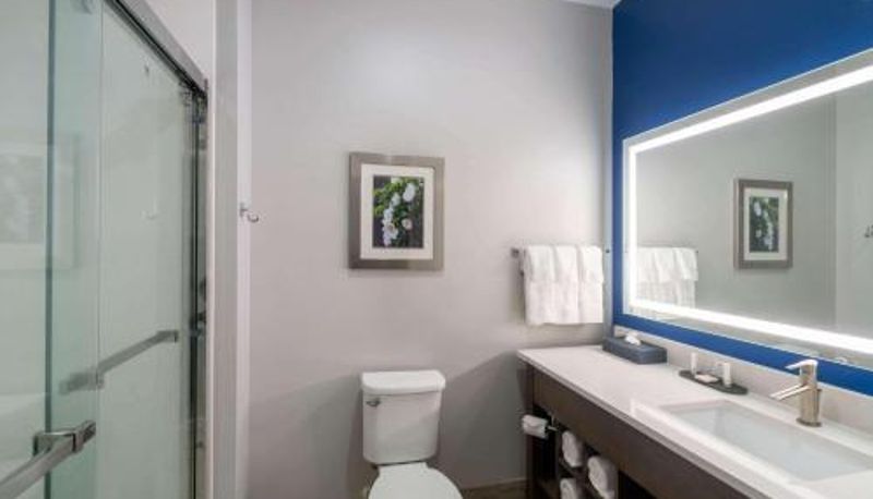 Bagno - La Quinta Inn & Suites by Wyndham Tifton