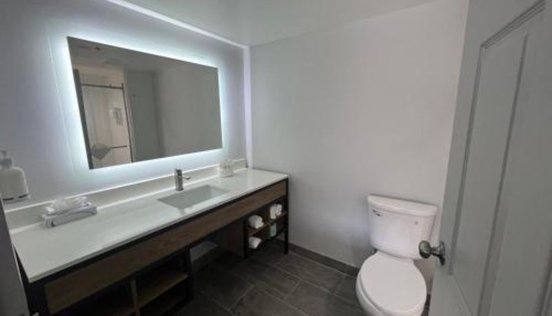 Pokój trzyosobowy - La Quinta Inn & Suites by Wyndham Duluth-Atlanta