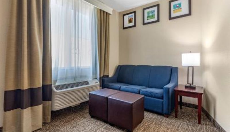 Suite - Comfort Suites Plano - Dallas North