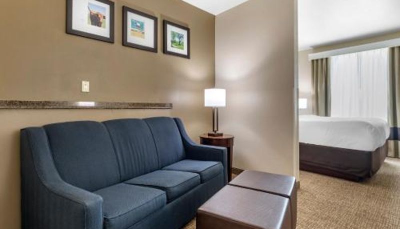 Suite - Comfort Suites Plano - Dallas North