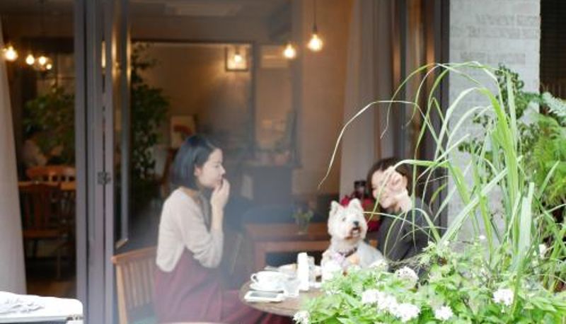 Frühstücksraum innerhalb des Restaurants - 7 Rooms Hotel & Cafe - Boutique Designer Hotel - 30 mins from Disneyland&Tokyo
