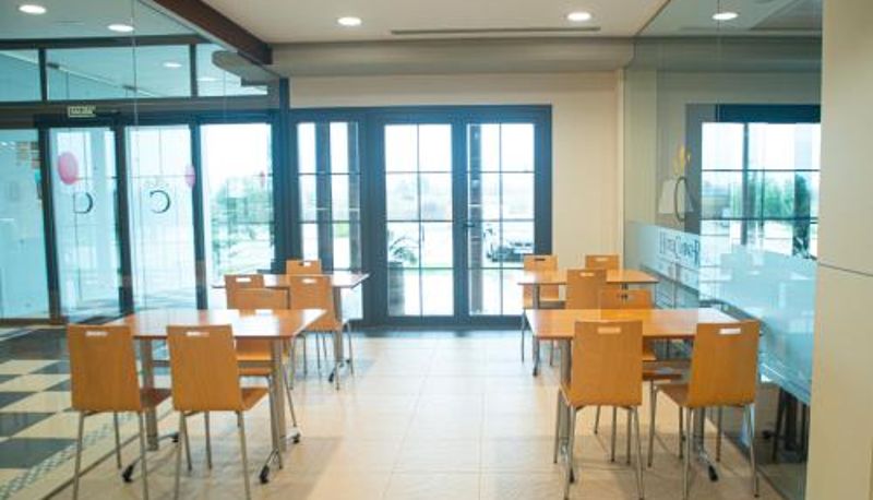 Bar - Hotel Camino Real