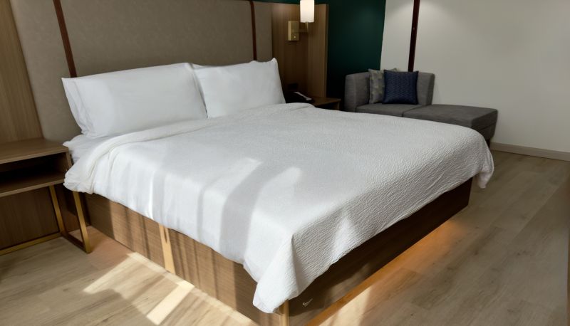 Oda - Holiday Inn HOUSTON RELIANT PARK AREA by IHG