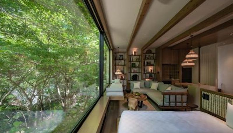 Bilgi - Treeful Treehouse Sustainable Resort Okinawa