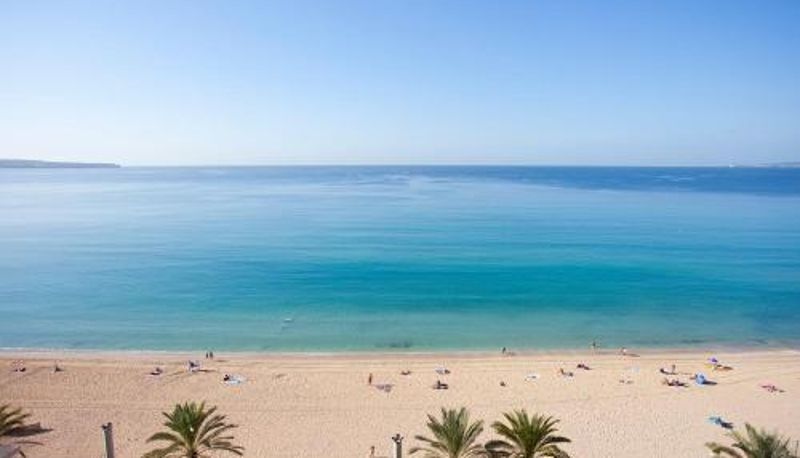 Bilgi - FERGUS Style Palma Beach