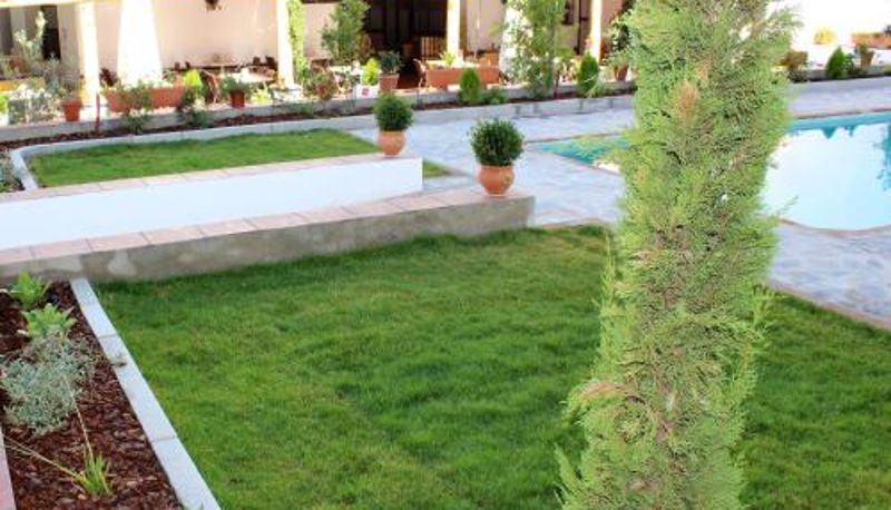 Información - Hotel Entreolivos