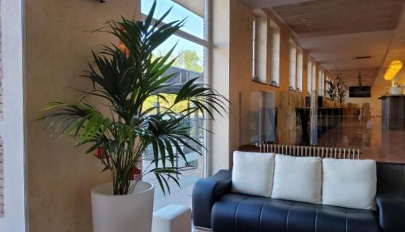 Recepcja - Hotel Marqués de Aguilar