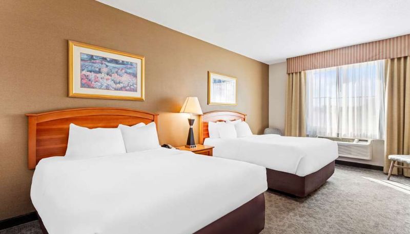 Zimmer - Comfort Inn & Suites I-25 near Spaceport America