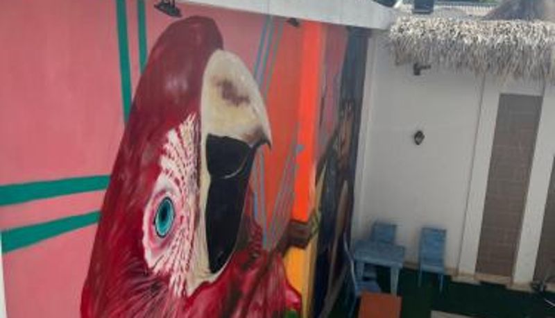Pool - Hotel Boutique Casa chunuu Santa Marta