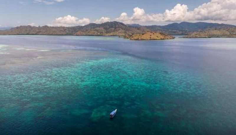 Area benessere e fitness - Dragon Dive Komodo Dive Resort