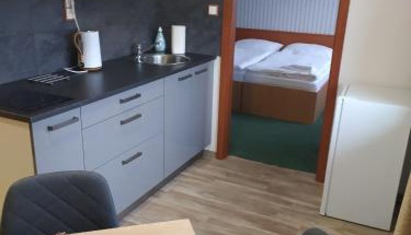 Habitación estándar - Wellness Penzion Kotár