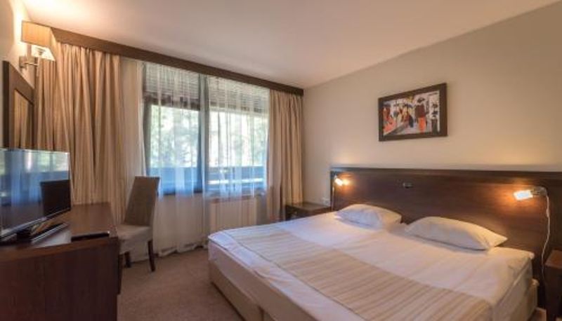 Pokój - Lion Hotel Borovets