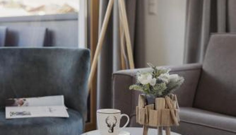 Appartement - Apartment Streif LXL