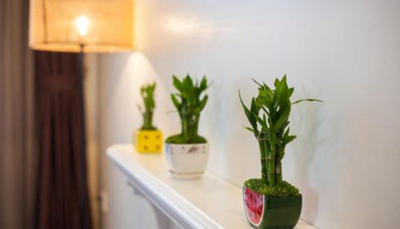 Appartamento - Hanoi Calista Hotel & Spa