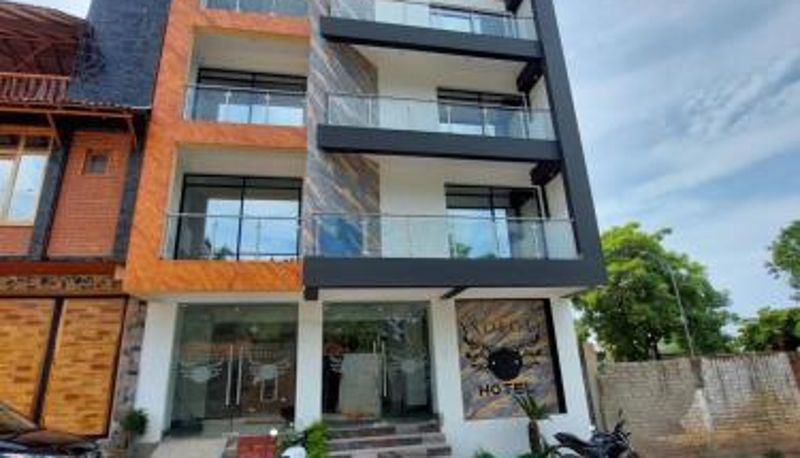 Bilgi - Hotel Axolotl