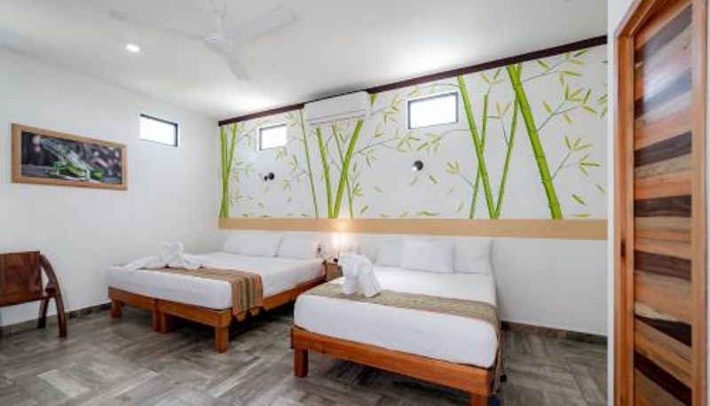 Standart oda - Hotel Axolotl