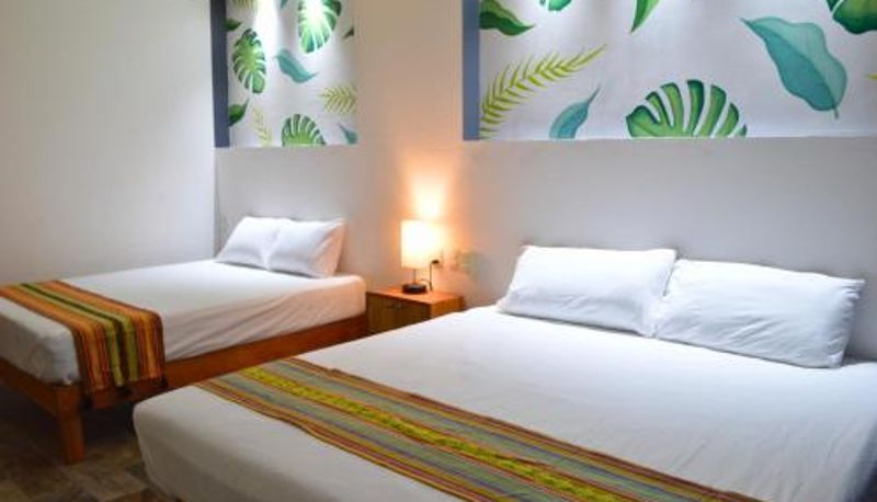 Bilgi - Hotel Axolotl