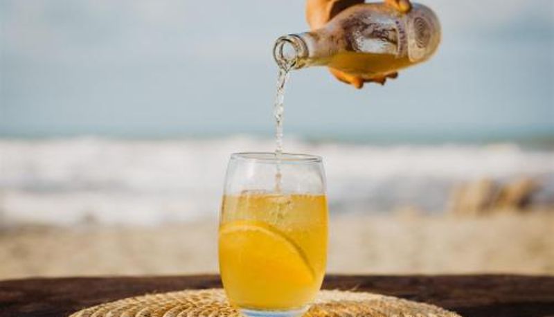 Bar - Lote 10 Tayrona Glamping