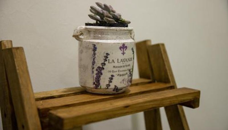 Daire - Hotel Casa Jima Agave