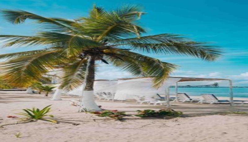 Bilgi - Makáry Beach Tolú by Bernalo Hotels