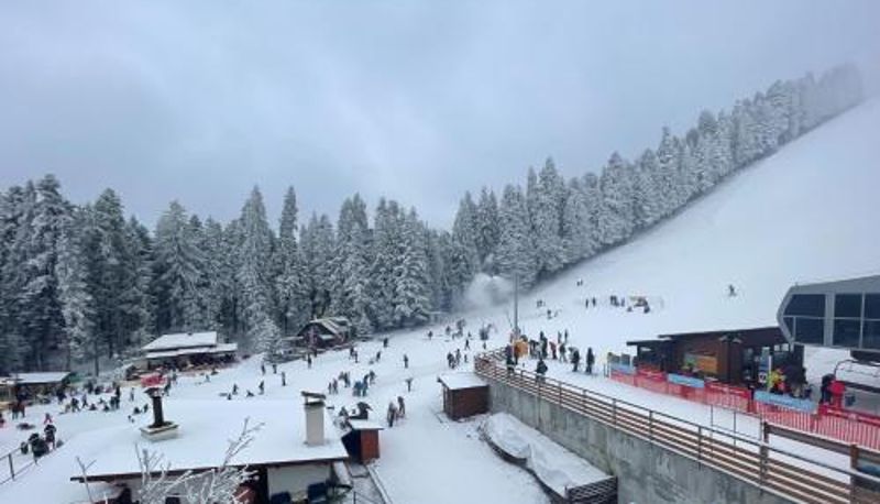 Tripla - Hotel Forest Star on the Ski Slope