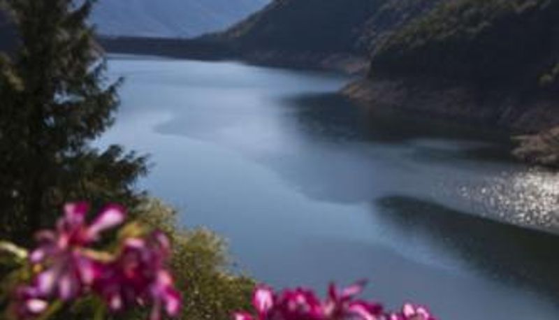 Vista - Hotel Al Lago