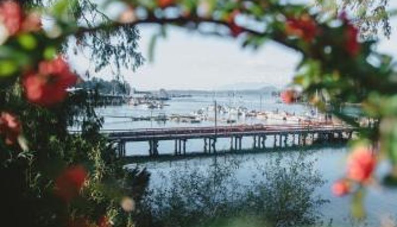 スイート - The Shoreline Tofino