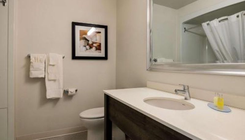 Zimmer - an Ascend Collection Hotel Amsterdam Inn & Suites Florenceville Bristol