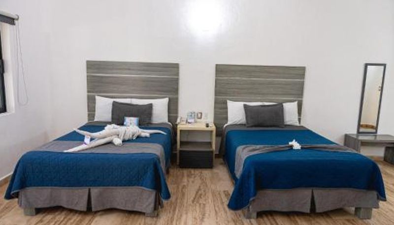 Üç kişilik oda - Splash Inn Nuevo Vallarta & Parque Acuatico