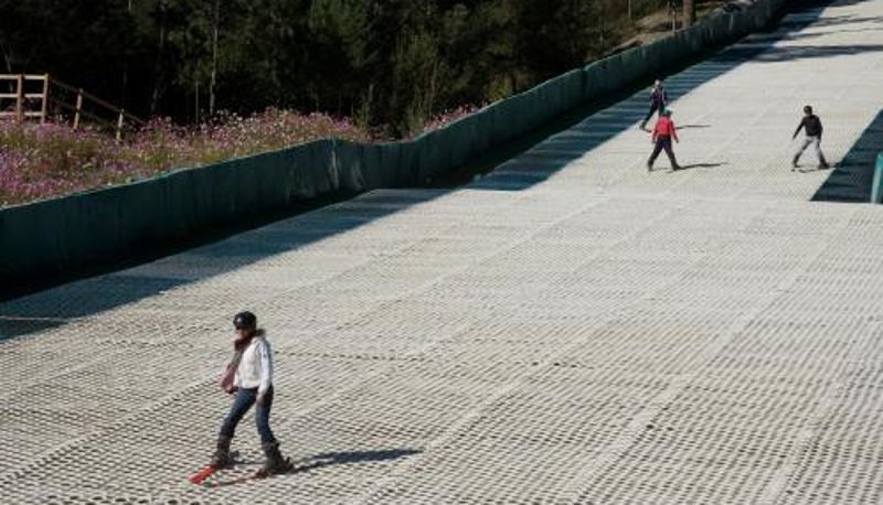 Info - Bosques de Monterreal