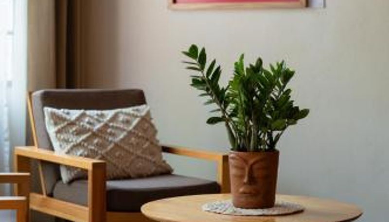 Camera standard - La Paranera Hotel & Relax