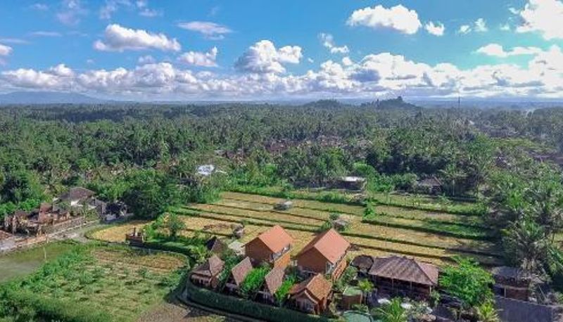 Info - Alam Kawi Ubud Resort & Spa By Island Escape