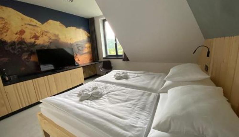 Standart oda - Forest Resort