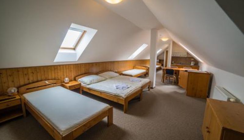 Daire - Hotel Elsyn Dvůr