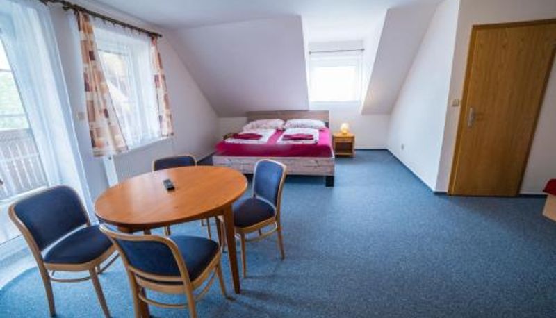 Otel açık alanı - Hotel Elsyn Dvůr
