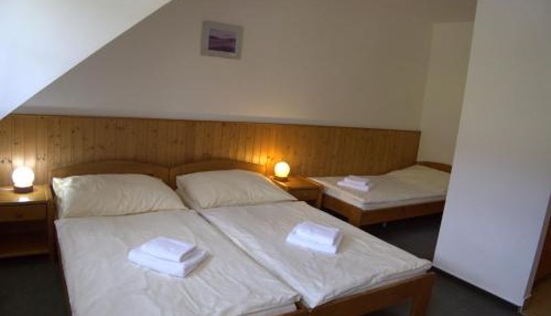 Üç kişilik oda - Hotel Elsyn Dvůr