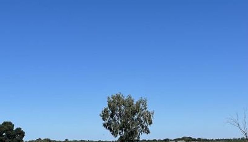 Standardzimmer - Happy Wanderer Motel Lake Boga ON THE LAKE WITH LAKE VIEWS