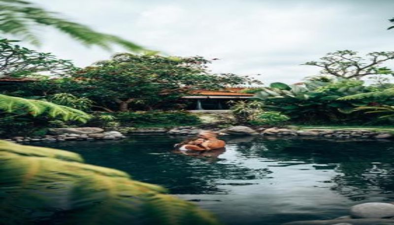 Info - Arya Arkananta Resort & Spa