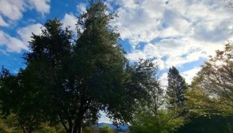 Info - Hotel y Cabañas Palomar - Caja los Andes