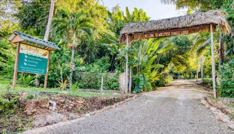 Bilgi - Mariposa Jungle Lodge
