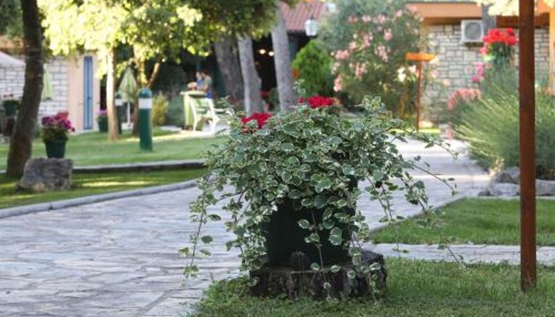 Info - Mediterranean Village San Antonio