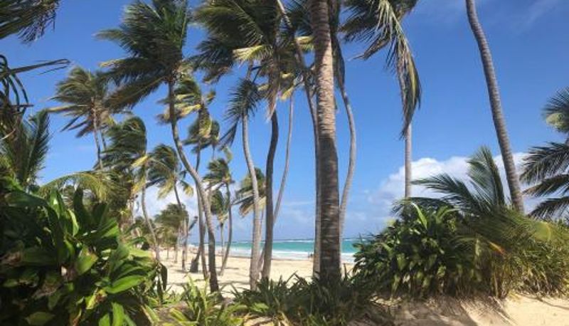 Informacje - Art Villa Dominicana