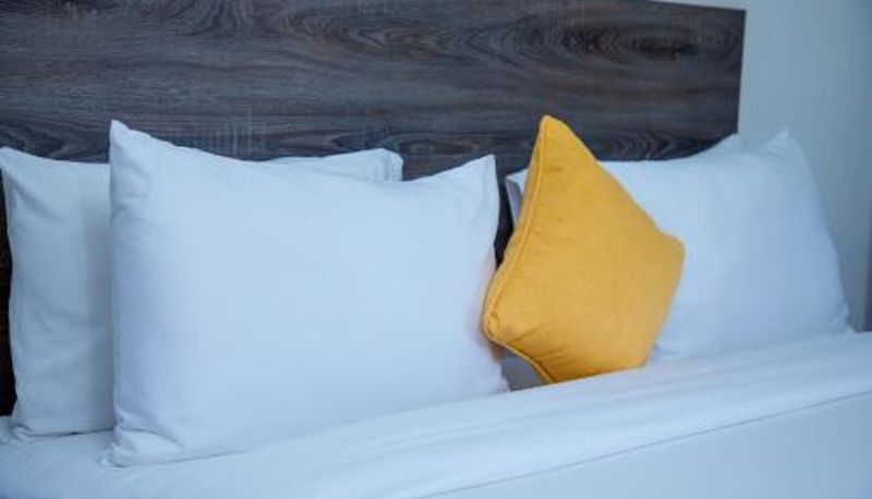 Suite - KISIMANI ECO RESORT & SPA LTD