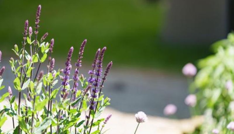 Info - Les Jardins d'Anaïs