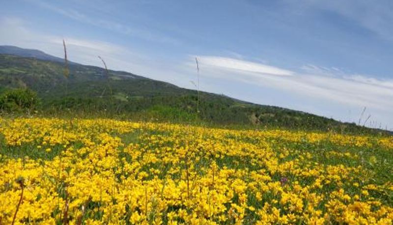 Info - Hotel Manastir Berovo