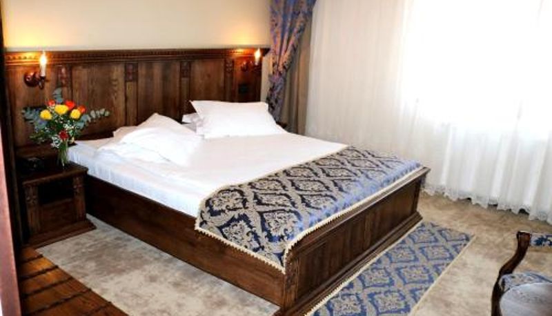 Oda - Castel Transilvania Luxury Resort & Spa