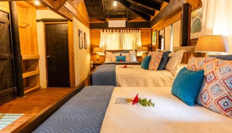 Camera standard - Platon Ecolodge