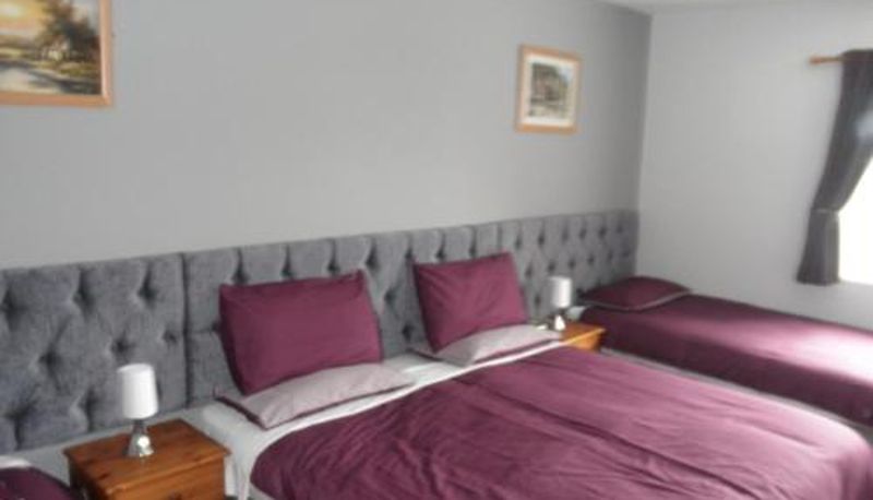 Standard room - Fitzpatrick's Tavern and Hotel