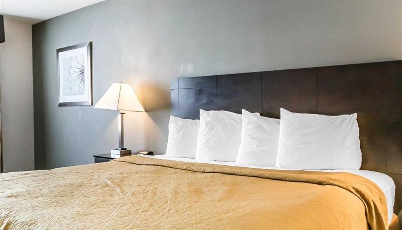 Pokój - Quality Inn & Suites University/Airport
